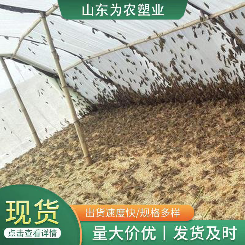 螞蚱養殖網展示效果